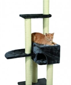 TRIXIE KRABPAAL ALICANTE ANTRACIET