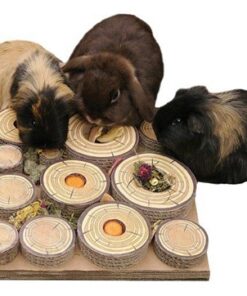 MAZE-A-LOG TREAT CHALLENGE