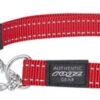 ROGZ FOR DOGS FANBELT HALFSLIP HALSBAND ROOD