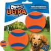 CHUCKIT ULTRA BAL