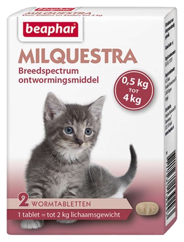 BEAPHAR MILQUESTRA KLEINE KAT / KITTEN