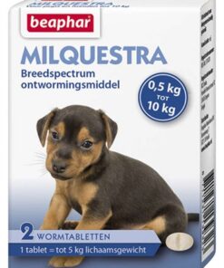 BEAPHAR MILQUESTRA KLEINE HOND / PUP