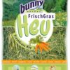 BUNNY NATURE VERS GRAS HOOI MET WORTEL