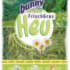 BUNNY NATURE VERS GRAS HOOI MET KAMILLE