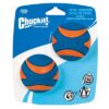 CHUCKIT ULTRA SQUEAKER BAL