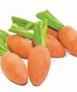 HAPPY PET CARROT NIBBLERS KNAAGHOUT