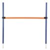 TRIXIE DOG ACTIVITY AGILITY HORDE BLAUW / ORANJE