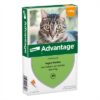 ELANCO ADVANTAGE KAT