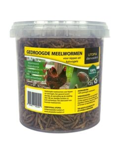 UTOPIA GEDROOGDE MEELWORMEN