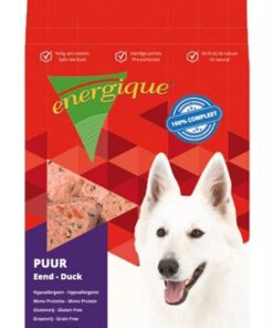 ENERGIQUE PUUR EEND