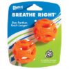 CHUCKIT BREATHE RIGHT FETCH BAL ORANJE