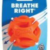 CHUCKIT BREATHE RIGHT FETCH BAL ORANJE