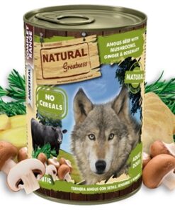 NATURAL GREATNESS ANGUS BEEF / MUSHROOMS / GINGER / ROSEMARY