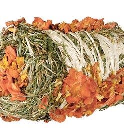 TRIXIE HOOIBAAL MET POMPOEN EN WORTEL