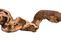 TRIXIE DRUIVENTAKKEN