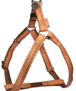 MACLEATHER TUIG BRUIN