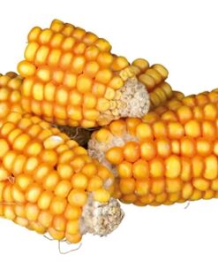 TRIXIE MAISKOLFSTUKKEN