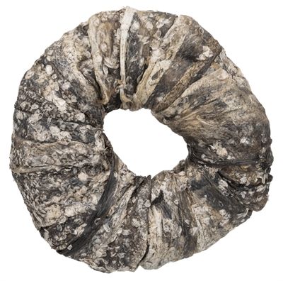 TRIXIE DENTA FUN KAUWRING VIS