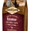 CARNILOVE REINDEER ENERGY / OUTDOOR
