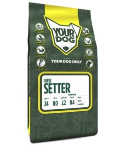 YOURDOG IERSE SETTER SENIOR