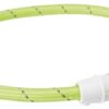 TRIXIE LICHTGEVENDE HALSBAND HOND FLASH USB TPU / NYLON GROEN