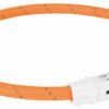 TRIXIE LICHTGEVENDE HALSBAND HOND FLASH USB TPU / NYLON ORANJE