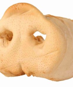 TRIXIE VARKENSNEUS GEDROOGD GROOT