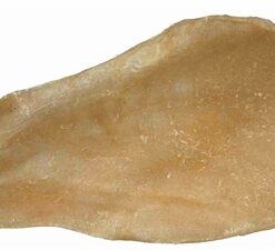 TRIXIE RUNDEROOR GEDROOGD