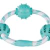TRIXIE DENTA FUN KOORDRING MET NATUURRUBBER BALLEN MET MUNTSMAAK