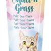 TRIXIE MALT'N'GRASS ANTI-HAIRBALL