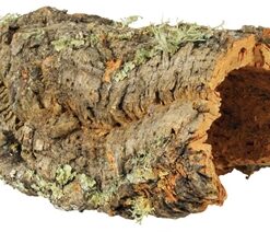 TRIXIE REPTILAND KURKPLAAT