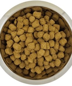 YOURDOG KONINGSPOEDEL VOLWASSEN