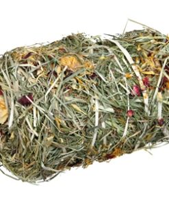 TRIXIE HOOIBAAL MET BLOESEMMIX