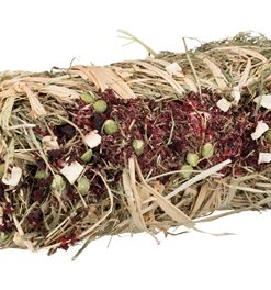 TRIXIE HOOIBAAL MET RODE BIET EN PASTINAAK