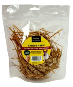 UTOPIA TARWE AREN