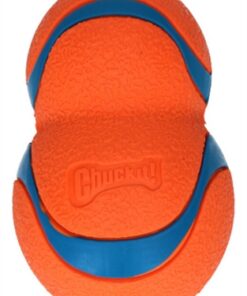 CHUCKIT ULTRA TUMBLER