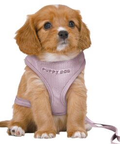TRIXIE HONDENTUIG JUNIOR PUPPY SOFTTUIG MET RIEM LILA