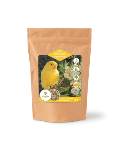 UTOPIA KANARIES TOP QUALITY