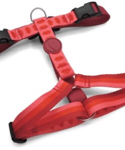 MORSO HONDENTUIG H-TUIG GERECYCLED LIPSTICK ROZE