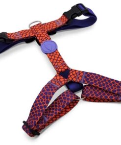 MORSO HONDENTUIG H-TUIG GERECYCLED URBAN LIZARD ROOD