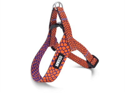 MORSO MINI HONDENTUIG VERSTELBAAR GERECYCLED URBAN LIZARD ROOD