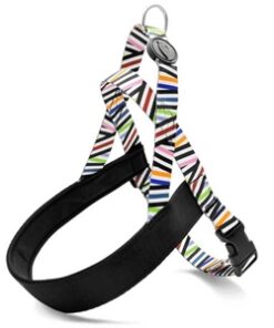 MORSO NORWEGIAN HONDENTUIG GERECYCLED SPAGHETTI INCIDENT