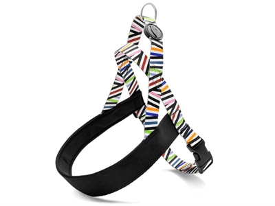 MORSO NORWEGIAN HONDENTUIG GERECYCLED SPAGHETTI INCIDENT