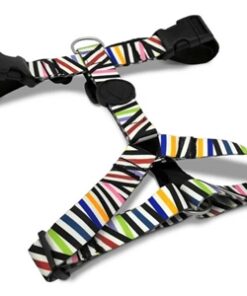 MORSO HONDENTUIG H-TUIG GERECYCLED SPAGHETTI INCIDENT