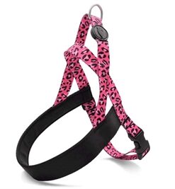 MORSO NORWEGIAN HONDENTUIG GERECYCLED BUBBLE LEO ROZE