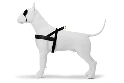 MORSO NORWEGIAN HONDENTUIG GERECYCLED GOLD CAVIAR GOUD