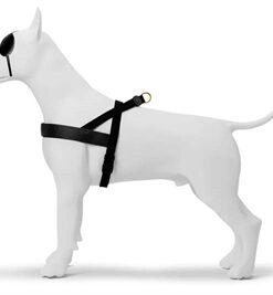 MORSO NORWEGIAN HONDENTUIG GERECYCLED GOLD CAVIAR GOUD