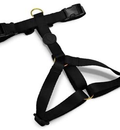 MORSO HONDENTUIG H-TUIG GERECYCLED GOLD CAVIAR GOUD