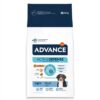 ADVANCE MAXI LIGHT