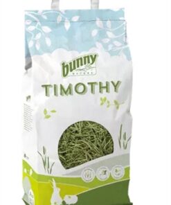 BUNNY NATURE TIMOTHY HOOI